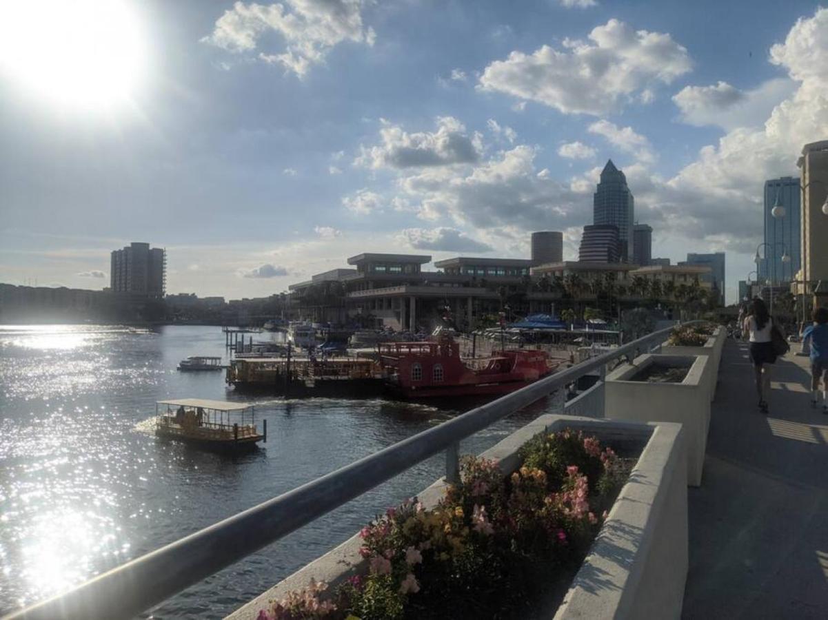 Florida Dream Vacation All New With Amenities ルッツ エクステリア 写真